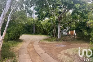 Land at Sainte-Marie (97438)