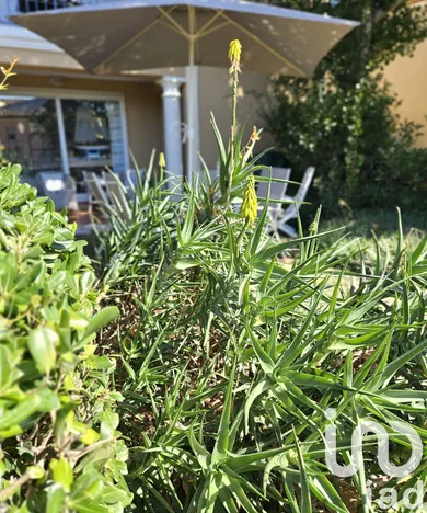 Apartment at Sainte-Maxime (83120)