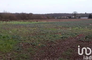 Land at Ligugé (86240)