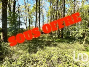 Terrain loisirs à beaugency (45028)