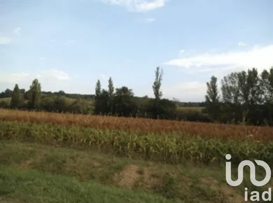 Terrain à bâtir à Vazerac (82220)