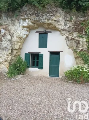 Maison de campagne à Lussault-sur-Loire (37400)