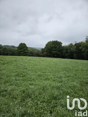 Terrain à bâtir à Villeneuve-sur-Yonne (89500)