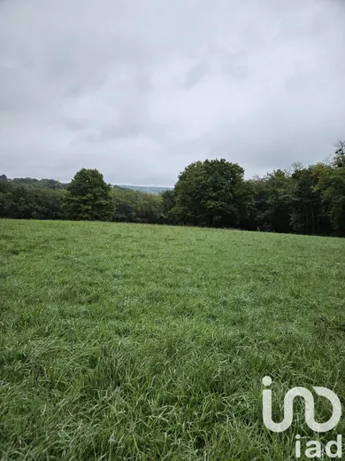 Building plot in Villeneuve-sur-Yonne (89500)