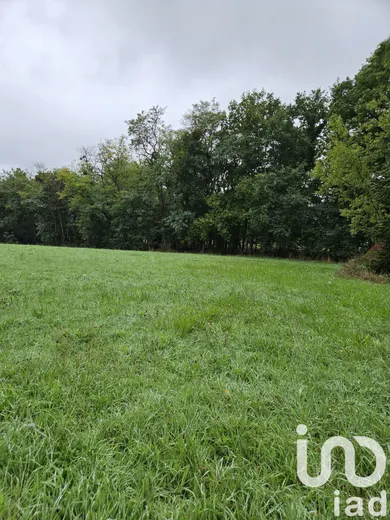 Building plot in Villeneuve-sur-Yonne (89500)