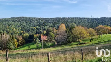 Terrain à bâtir à Dabo (57850)