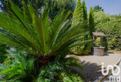 House at Antibes (06600)