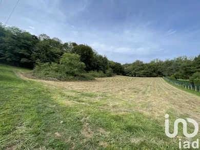 Terrain à bâtir à Neuville-sur-Ain (01160)