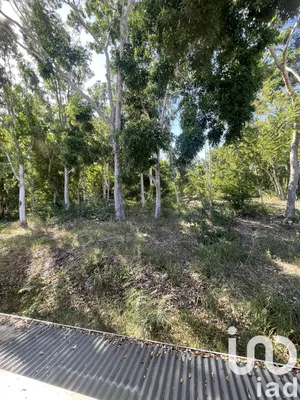 Maison à L'Étang-Salé (97427)