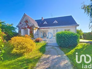 Traditional house at Châteauneuf-sur-Loire (45110)