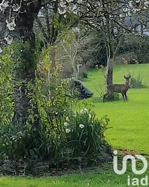 Maison de ville à Rots (14980)