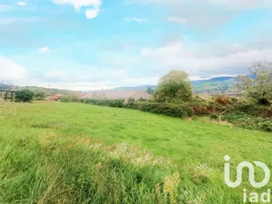 Land at Cellieu (42320)