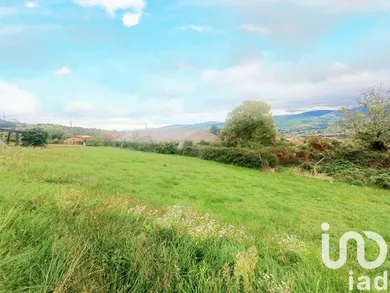 Land at Cellieu (42320)