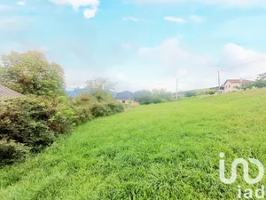 Terrain à Cellieu (42320)