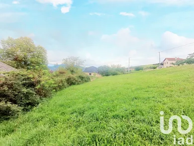 Terrain à Cellieu (42320)