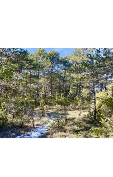 Land in la martre (83840)