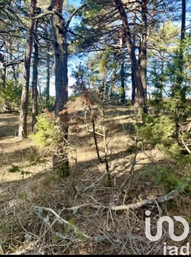 Land in la martre (83840)
