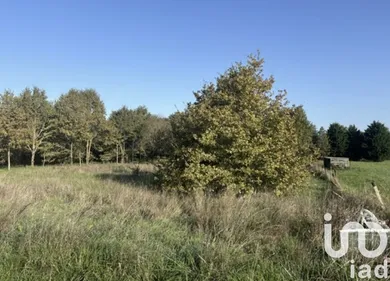 Land at Castelsarrasin (82290)