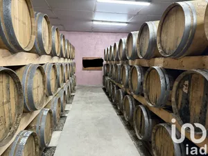 Castle at Vertheuil (33180)