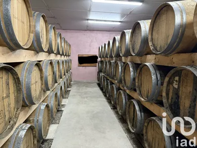 Castle at Vertheuil (33180)