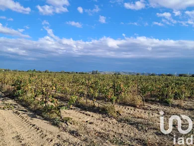 Terrain agricole à Canet (11200)