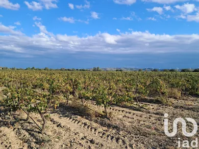 Terrain agricole à Canet (11200)