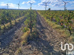 Terrain agricole  à Canet (11200)