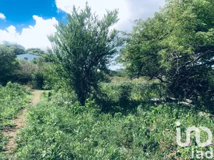 Building plot at Saint Martin (97150)