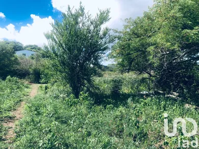 Building plot at Saint Martin (97150)