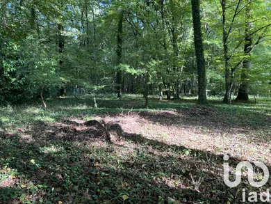 Building plot in Courtenay (45320)