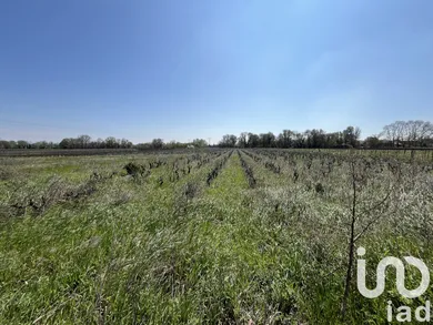 Terrain agricole à Codolet (30200)
