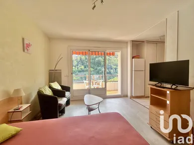 Studio in Amélie-les-Bains-Palalda (66110)