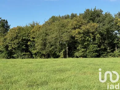 Building plot in Lodes (31800)