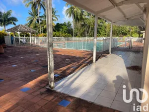 Apartment at Sainte-Marie (97230)