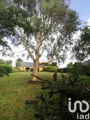 Maison à Plourhan (22410)