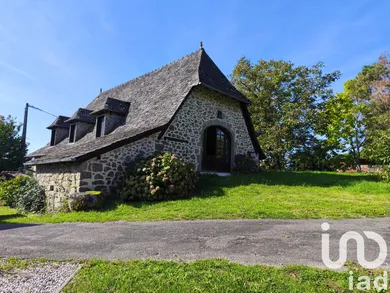 Gîte à Puycapel (15340)