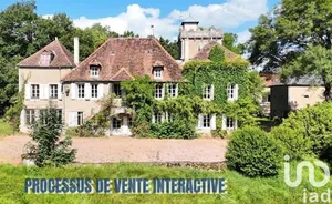 Château à Laizy (71190)