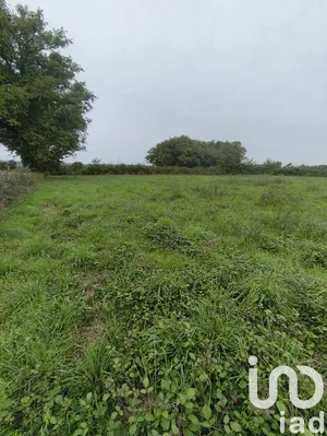 Terrain à bâtir à Ceaulmont (36200)