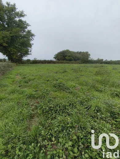 Building plot in Ceaulmont (36200)