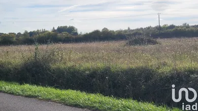 Building plot in La Cour-Marigny (45260)