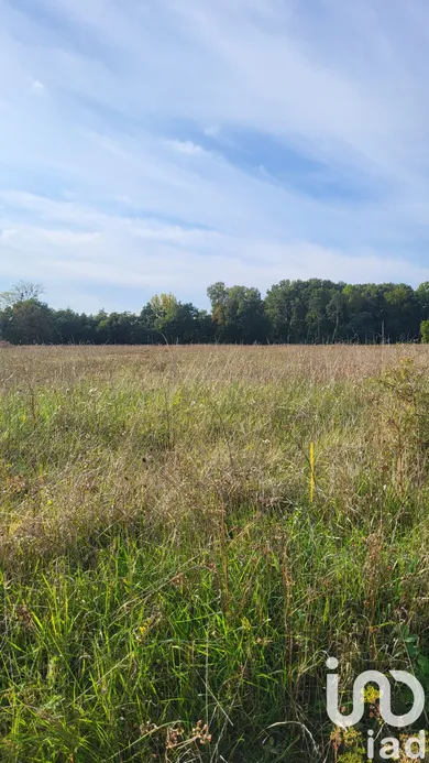 Building plot in La Cour-Marigny (45260)