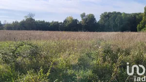 Terrain à bâtir à La Cour-Marigny (45260)