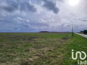 Building plot at Douchy- Montcorbon (45220)