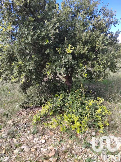 Land in Sérignan du Comtat (84830)