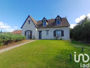 House at Saint-Laurent-Nouan (41220)