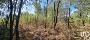 Terrain à bâtir à Saint-Christol-lez-Alès (30380)