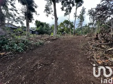 Building plot at STE MARIE (97418)