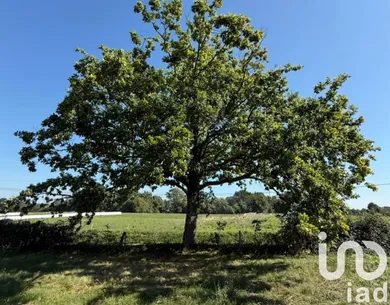 Building plot in Villeneuve-de-Rivière (31800)