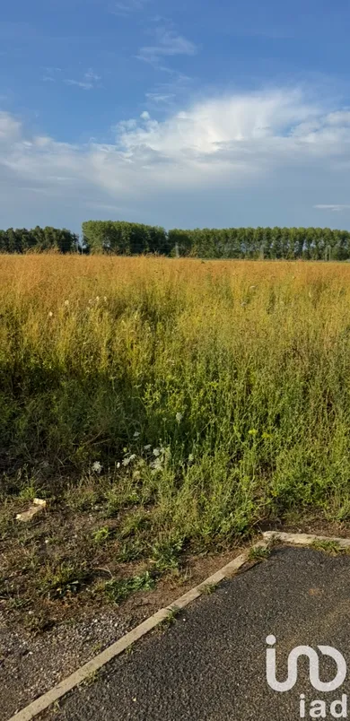 Terrain à bâtir à Forges (77130)