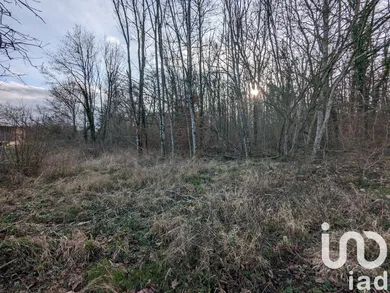 Terrain à Appoigny (89380)